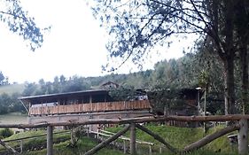 El Trapiche